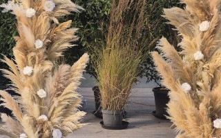 Hochzeitsdekoration bei Quellpark Kundelfingerhof (Foto 3)