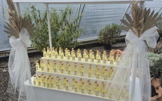 Hochzeitsdekoration bei Quellpark Kundelfingerhof (Foto 1)