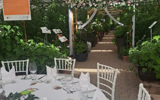 Hochzeitsdekoration bei RESTAURANT Gnadenthal (Foto 12)